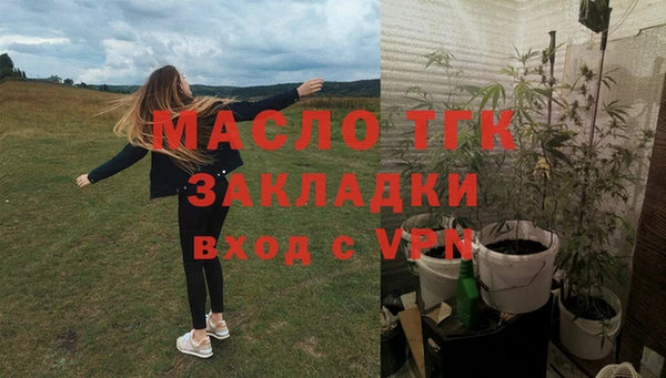 прущий лед Новозыбков