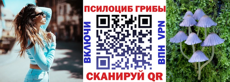 Псилоцибиновые грибы GOLDEN TEACHER сайты даркнета наркотические препараты Ефремов ОМГ ОМГ ONION